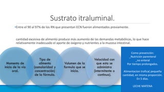 Sustrato itraluminal.
•Entre el 90 al 97% de los RN que presentan ECN fueron alimentados previamente.
cantidad excesiva de alimento produce más aumento de las demandas metabólicas, lo que hace
relativamente inadecuado el aporte de oxígeno y nutrientes a la mucosa intestinal.
Como prevención:
_Nutrición parenteral
_no enteral
Por tiempo prolongados.
Alimentacion trofica( pequeña
cantidad, en misma proporción.
En 5 días.
LECHE MATENA
 