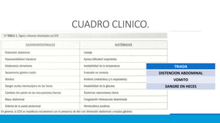 CUADRO CLINICO.
TRIADA
DISTENCION ABDOMINAL
VOMITO
SANGRE EN HECES
 