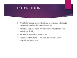 FISIOPATOLOGIA
 Multifactorial, se produce lesión en la mucosa intestinaly
desencadena la enfermedad sistémica.
 Facilita la traslocación yproliferación de bacterias a la
pared intestinal.
 Fermentan sustratos→ neumatosis
 Proceso inflamatorio→ vía final de daño de tuvo
digestivo y sistémico.
 