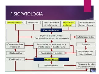 FISIOPATOLOGIA
 