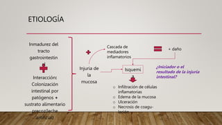 ETIOLOGÍA
Inmadurez del
tracto
gastrointestin
al
Interacción:
Colonización
intestinal por
patógenos +
sustrato alimentario
precoz(leche
artificial)
Injuria de
la
mucosa
Cascada de
mediadores
inflamatorios
+ daño
Isquemi
a
o Infiltración de células
inflamatorias
o Edema de la mucosa
o Ulceración
o Necrosis de coagu-
lación
¿Iniciador o el
resultado de la injuria
intestinal?
 