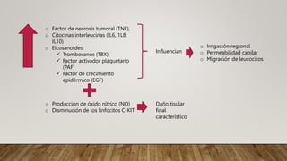 o Factor de necrosis tumoral (TNF),
o Citocinas interleucinas (IL6, 1L8,
IL10)
o Eicosanoides:
 Tromboxanos (TBX)
 Factor activador plaquetario
(PAF)
 Factor de crecimiento
epidérmico (EGF)
Influencian
o Irrigación regional
o Permeabilidad capilar
o Migración de leucocitos
o Producción de óxido nítrico (NO)
o Disminución de los linfocitos C-KIT
Daño tisular
final
característico
 