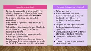 Inmadurez intestinal.
• Respuesta paradojal a la alimentación con
disminución de la motilidad y distensión
abdominal, lo que favorece la isquemia.
• Poca acidez gástrica y baja actividad
proteolítica,
• Limitada resp. hiperémica mesentérica a la
alimentación.
• Sales biliares disminuidas, lo que dificulta la
absorción de las grasas (+ satúradas)
• Insuficiente mucina
• Capacidad limitada del colon para reab-
sorber agua y electrolitos.
• Bajos niveles de lgA intestinal, de lisozima y
de defensina 5 por menor número de células
de Panet  Protegen a invasión bacteriana
Factores de isquemia intestinal
• Asfixia y el shock
• ductus arterioso con "robo"
día:stólico disminuye el flujo en
diástole (+ en <28 sem ó
corticoides o indometacina
precoz)
• Políglobulía con hiperviscosídad.
• Cardiopatías congénitas con
hipodébito.
• Exanguinotransfusión  factor de
alteraciones del flujo intestinal.
• cateterismo umbilical arterial
• ↓T°
• Consumo prenatal de cocaína 
Vasoconstricción
 