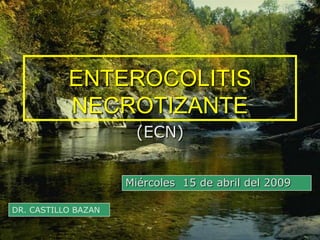 ENTEROCOLITIS
           NECROTIZANTE
                      (ECN)


                     Miércoles 15 de abril del 2009

DR. CASTILLO BAZAN

                                                      1
 
