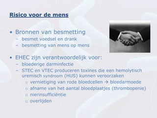 Risico voor de mens


• Bronnen van besmetting
  – besmet voedsel en drank
  – besmetting van mens op mens

• EHEC zijn verantwoordelijk voor:
  – bloederige darminfectie
  – STEC en VTEC produceren toxines die een hemolytisch
    uremisch syndroom (HUS) kunnen veroorzaken
      o vernietiging van rode bloedcellen  bloedarmoede
      o afname van het aantal bloedplaatjes (thrombopenie)
      o nierinsufficiëntie
      o overlijden
 
