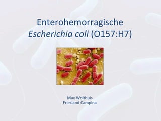 Enterohemorragische
Escherichia coli (O157:H7)




          Max Wolthuis
        Friesland Campina
 