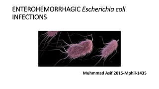 ENTEROHEMORRHAGIC Escherichia coli
INFECTIONS
Muhmmad Asif 2015-Mphil-1435
 