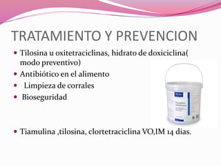 TRATAMIENTO Y PREVENCION
 Tilosina u oxitetraciclinas, hidrato de doxiciclina(
modo preventivo)
 Antibiótico en el alimento
 Limpieza de corrales
 Bioseguridad
 Tiamulina ,tilosina, clortetraciclina VO,IM 14 dias.
 