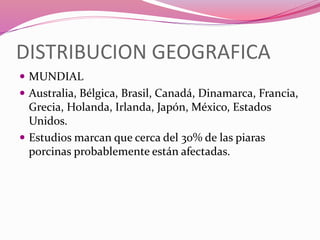 DISTRIBUCION GEOGRAFICA
 MUNDIAL
 Australia, Bélgica, Brasil, Canadá, Dinamarca, Francia,
Grecia, Holanda, Irlanda, Japón, México, Estados
Unidos.
 Estudios marcan que cerca del 30% de las piaras
porcinas probablemente están afectadas.
 