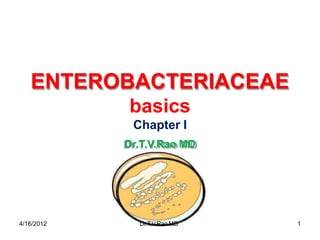 ENTEROBACTERIACEAE
basics
Chapter I
Dr.T.V.Rao MD
4/16/2012 Dr.T.V.RaoMD 1
 