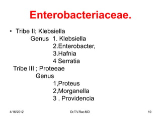 4/16/2012 Dr.T.V.RaoMD 10
Enterobacteriaceae.
• Tribe II; Klebsiella
Genus 1. Klebsiella
2.Enterobacter,
3.Hafnia
4 Serratia
Tribe III ; Proteeae
Genus
1,Proteus
2,Morganella
3 . Providencia
 