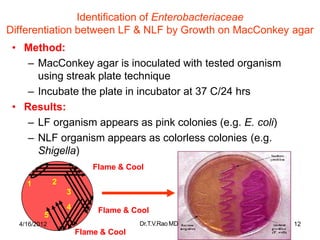Identification of Enterobacteriaceae
Differentiation between LF & NLF by Growth on MacConkey agar
• Method:
– MacConkey agar is inoculated with tested organism
using streak plate technique
– Incubate the plate in incubator at 37 C/24 hrs
• Results:
– LF organism appears as pink colonies (e.g. E. coli)
– NLF organism appears as colorless colonies (e.g.
Shigella)
Flame & Cool
1 2
3
4
5
4/16/2012
Flame & Cool
Dr.T.V.RaoMD
Flame & Cool
12
 