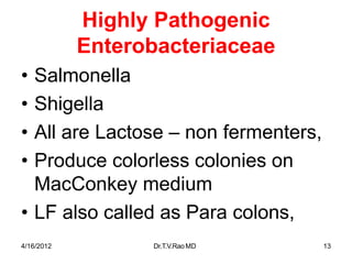 4/16/2012 Dr.T.V.RaoMD 13
Highly Pathogenic
Enterobacteriaceae
• Salmonella
• Shigella
• All are Lactose – non fermenters,
• Produce colorless colonies on
MacConkey medium
• LF also called as Para colons,
 