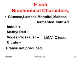4/16/2012 Dr.T.V.RaoMD 19
E.coli
Biochemical Characters,
• Glucose,Lactose,Mannitol,Maltose
fermented. with A/G
Indole +
Methyl Red +
Voges Proskauer –
Citrate –
Urease not produced.
I,M,Vi,C tests.
 