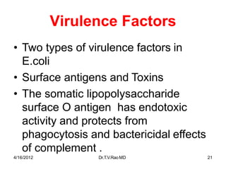 4/16/2012 Dr.T.V.RaoMD 21
Virulence Factors
• Two types of virulence factors in
E.coli
• Surface antigens and Toxins
• The somatic lipopolysaccharide
surface O antigen has endotoxic
activity and protects from
phagocytosis and bactericidal effects
of complement .
 