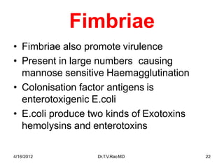 4/16/2012 Dr.T.V.RaoMD 22
Fimbriae
• Fimbriae also promote virulence
• Present in large numbers causing
mannose sensitive Haemagglutination
• Colonisation factor antigens is
enterotoxigenic E.coli
• E.coli produce two kinds of Exotoxins
hemolysins and enterotoxins
 