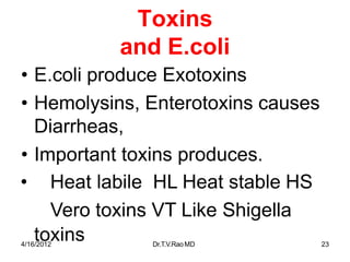 4/16/2012 Dr.T.V.RaoMD 23
Toxins
and E.coli
• E.coli produce Exotoxins
• Hemolysins, Enterotoxins causes
Diarrheas,
• Important toxins produces.
• Heat labile HL Heat stable HS
Vero toxins VT Like Shigella
toxins
 