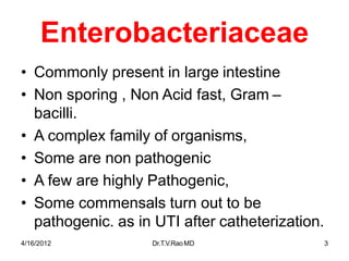 4/16/2012 Dr.T.V.RaoMD 3
Enterobacteriaceae
• Commonly present in large intestine
• Non sporing , Non Acid fast, Gram –
bacilli.
• A complex family of organisms,
• Some are non pathogenic
• A few are highly Pathogenic,
• Some commensals turn out to be
pathogenic. as in UTI after catheterization.
 