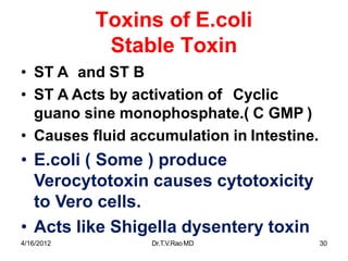 4/16/2012 Dr.T.V.RaoMD 30
Toxins of E.coli
Stable Toxin
• ST A and ST B
• ST A Acts by activation of Cyclic
guano sine monophosphate.( C GMP )
• Causes fluid accumulation in Intestine.
• E.coli ( Some ) produce
Verocytotoxin causes cytotoxicity
to Vero cells.
• Acts like Shigella dysentery toxin
 