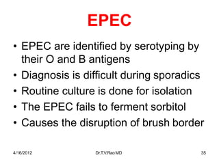4/16/2012 Dr.T.V.RaoMD 35
EPEC
• EPEC are identified by serotyping by
their O and B antigens
• Diagnosis is difficult during sporadics
• Routine culture is done for isolation
• The EPEC fails to ferment sorbitol
• Causes the disruption of brush border
 