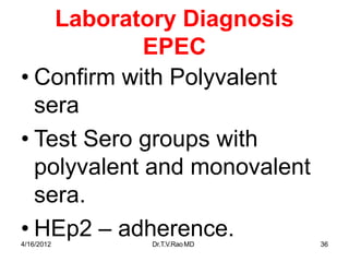 4/16/2012 Dr.T.V.RaoMD 36
Laboratory Diagnosis
EPEC
• Confirm with Polyvalent
sera
• Test Sero groups with
polyvalent and monovalent
sera.
• HEp2 – adherence.
 