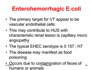 Enterohemorrhagic E.coli
• The primary target for VT appear to be
vascular endothelial cells
• This may contribute to HUS with
characteristic renal lesion is capillary micro
angiopathy
• The typical EHEC serotype is 0 157 ; H7
• The disease may manifest as food
poisoning
• Occurs due to contamination of feces of
humans or animals
4/16/2012 Dr.T.V.RaoMD 46
 