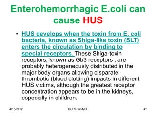 4/16/2012 Dr.T.V.RaoMD 47
Enterohemorrhagic E.coli can
cause HUS
• HUS develops when the toxin from E. coli
bacteria, known as Shiga-like toxin (SLT)
enters the circulation by binding to
special receptors. These Shiga-toxin
receptors, known as Gb3 receptors , are
probably heterogeneously distributed in the
major body organs allowing disparate
thrombotic (blood clotting) impacts in different
HUS victims, although the greatest receptor
concentration appears to be in the kidneys,
especially in children.
 