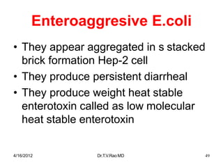 4/16/2012 Dr.T.V.RaoMD 49
Enteroaggresive E.coli
• They appear aggregated in s stacked
brick formation Hep-2 cell
• They produce persistent diarrheal
• They produce weight heat stable
enterotoxin called as low molecular
heat stable enterotoxin
 