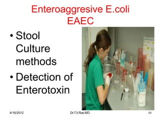 Enteroaggresive E.coli
EAEC
• Stool
Culture
methods
• Detection of
Enterotoxin
4/16/2012 Dr.T.V.RaoMD 50
 