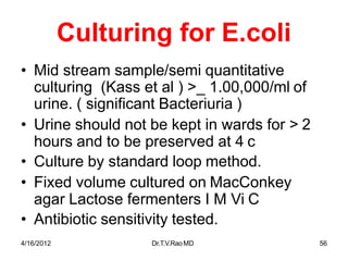 4/16/2012 Dr.T.V.RaoMD 56
Culturing for E.coli
• Mid stream sample/semi quantitative
culturing (Kass et al ) >_ 1.00,000/ml of
urine. ( significant Bacteriuria )
• Urine should not be kept in wards for > 2
hours and to be preserved at 4 c
• Culture by standard loop method.
• Fixed volume cultured on MacConkey
agar Lactose fermenters I M Vi C
• Antibiotic sensitivity tested.
 