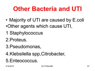 4/16/2012 Dr.T.V.RaoMD 57
Other Bacteria and UTI
• Majority of UTI are caused by E.coli
•Other agents which cause UTI,
1 Staphylococcus
2.Proteus.
3.Pseudomonas,
4.Klebsilella spp,Citrobacter,
5.Enteococcus.
 
