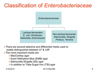 Classification of Enterobacteriaceae
Enterobacteriaceae
Lactose fermenters
E. coli, Citrobacter,
Klebsiella, Enterobacter
Non-lactose fermenter
Salmonella, Shigella
Proteus, Yersinia
4/16/2012 Dr.T.V.RaoMD 6
There are several selective and differential media used to
isolate distinguishes between LF & LNF
The most important media are:
MacConkey agar
Eosin Methylene Blue (EMB) agar
Salmonella Shigella (SS) agar
In addition to Triple Sugar Iron (TSI) agar
 