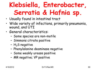 4/16/2012 Dr.T.V.RaoMD 60
Klebsiella, Enterobacter,
Serratia & Hafnia sp.
• Usually found in intestinal tract
• Wide variety of infections, primarily pneumonia,
wound, and UTI
• General characteristics:
– Some species are non-motile
– Simmons citrate positive
– H2S negative
– Phenylalanine deaminase negative
– Some weakly urease positive
– MR negative; VP positive
 