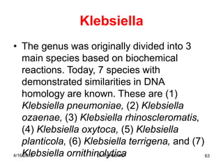 Klebsiella
• The genus was originally divided into 3
main species based on biochemical
reactions. Today, 7 species with
demonstrated similarities in DNA
homology are known. These are (1)
Klebsiella pneumoniae, (2) Klebsiella
ozaenae, (3) Klebsiella rhinoscleromatis,
(4) Klebsiella oxytoca, (5) Klebsiella
planticola, (6) Klebsiella terrigena, and (7)
4/16K
/201
l2
ebsiella ornithin
D
o
r.Tl.V
y
.R
taio
c
Ma
D 63
 