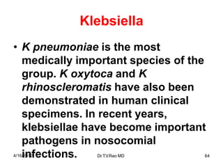 Klebsiella
• K pneumoniae is the most
medically important species of the
group. K oxytoca and K
rhinoscleromatis have also been
demonstrated in human clinical
specimens. In recent years,
klebsiellae have become important
pathogens in nosocomial
4/16i
/2n
012
fections. Dr.T
.V.Rao MD 64
 