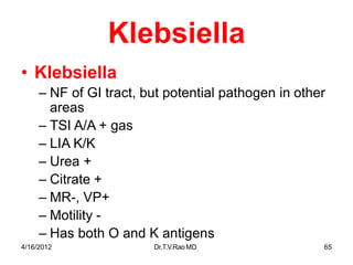 4/16/2012 Dr.T.V.RaoMD 65
Klebsiella
• Klebsiella
– NF of GI tract, but potential pathogen in other
areas
– TSI A/A + gas
– LIA K/K
– Urea +
– Citrate +
– MR-, VP+
– Motility -
– Has both O and K antigens
 
