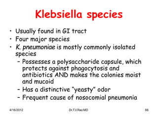 4/16/2012 Dr.T.V.RaoMD 66
Klebsiella species
• Usually found in GI tract
• Four major species
• K. pneumoniae is mostly commonly isolated
species
– Possesses a polysaccharide capsule, which
protects against phagocytosis and
antibiotics AND makes the colonies moist
and mucoid
– Has a distinctive “yeasty” odor
– Frequent cause of nosocomial pneumonia
 