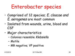 4/16/2012 Dr.T.V.RaoMD 69
Enterobacter species
• Comprised of 12 species; E. cloacae and
E. aerogenes are most common
• Isolated from wounds, urine, blood and
CSF
• Major characteristics
– Colonies resemble Klebsiella
– Motile
– MR negative; VP positive
 