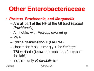 4/16/2012 Dr.T.V.RaoMD 73
Other Enterobacteriaceae
• Proteus, Providencia, and Morganella
– Are all part of the NF of the GI tract (except
Providencia).
– All motile, with Proteus swarming
– PA +
– Lysine deamination + (LIA R/A)
– Urea + for most, strongly + for Proteus
– TSI variable (know the reactions for each in
the lab!)
– Indole – only P. mirabilis is -
 
