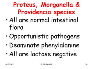 4/16/2012 Dr.T.V.RaoMD 74
Proteus, Morganella &
Providencia species
• All are normal intestinal
flora
• Opportunistic pathogens
• Deaminate phenylalanine
• All are lactose negative
 