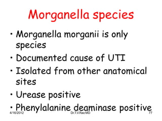 4/16/2012 Dr.T.V.RaoMD 77
Morganella species
• Morganella morganii is only
species
• Documented cause of UTI
• Isolated from other anatomical
sites
• Urease positive
• Phenylalanine deaminase positive
 