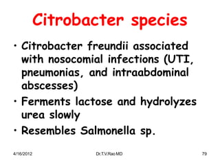 4/16/2012 Dr.T.V.RaoMD 79
Citrobacter species
• Citrobacter freundii associated
with nosocomial infections (UTI,
pneumonias, and intraabdominal
abscesses)
• Ferments lactose and hydrolyzes
urea slowly
• Resembles Salmonella sp.
 