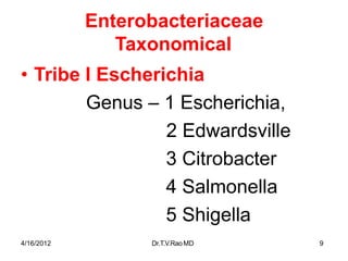 4/16/2012 Dr.T.V.RaoMD 9
Enterobacteriaceae
Taxonomical
• Tribe I Escherichia
Genus – 1 Escherichia,
2 Edwardsville
3 Citrobacter
4 Salmonella
5 Shigella
 
