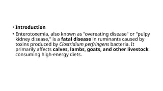 • Introduction
• Enterotoxemia, also known as "overeating disease" or "pulpy
kidney disease," is a fatal disease in ruminants caused by
toxins produced by Clostridium perfringens bacteria. It
primarily affects calves, lambs, goats, and other livestock
consuming high-energy diets.
 