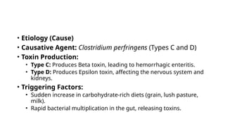 • Etiology (Cause)
• Causative Agent: Clostridium perfringens (Types C and D)
• Toxin Production:
• Type C: Produces Beta toxin, leading to hemorrhagic enteritis.
• Type D: Produces Epsilon toxin, affecting the nervous system and
kidneys.
• Triggering Factors:
• Sudden increase in carbohydrate-rich diets (grain, lush pasture,
milk).
• Rapid bacterial multiplication in the gut, releasing toxins.
 