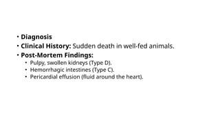 • Diagnosis
• Clinical History: Sudden death in well-fed animals.
• Post-Mortem Findings:
• Pulpy, swollen kidneys (Type D).
• Hemorrhagic intestines (Type C).
• Pericardial effusion (fluid around the heart).
 