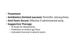 • Treatment
• Antibiotics (limited success): Penicillin, tetracyclines.
• Anti-Toxin Serum: Effective if administered early.
• Supportive Therapy:
• IV fluids for dehydration.
• Probiotics to restore gut flora.
• Activated charcoal to absorb toxins
 