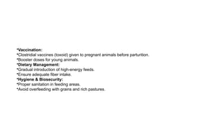•Vaccination:
•Clostridial vaccines (toxoid) given to pregnant animals before parturition.
•Booster doses for young animals.
•Dietary Management:
•Gradual introduction of high-energy feeds.
•Ensure adequate fiber intake.
•Hygiene & Biosecurity:
•Proper sanitation in feeding areas.
•Avoid overfeeding with grains and rich pastures.
 