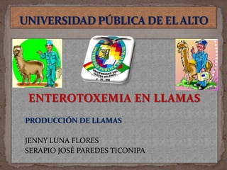UNIVERSIDAD PÚBLICA DE EL ALTO ENTEROTOXEMIA EN LLAMAS PRODUCCIÓN DE LLAMAS JENNY LUNA FLORES SERAPIO JOSÉ PAREDES TICONIPA 