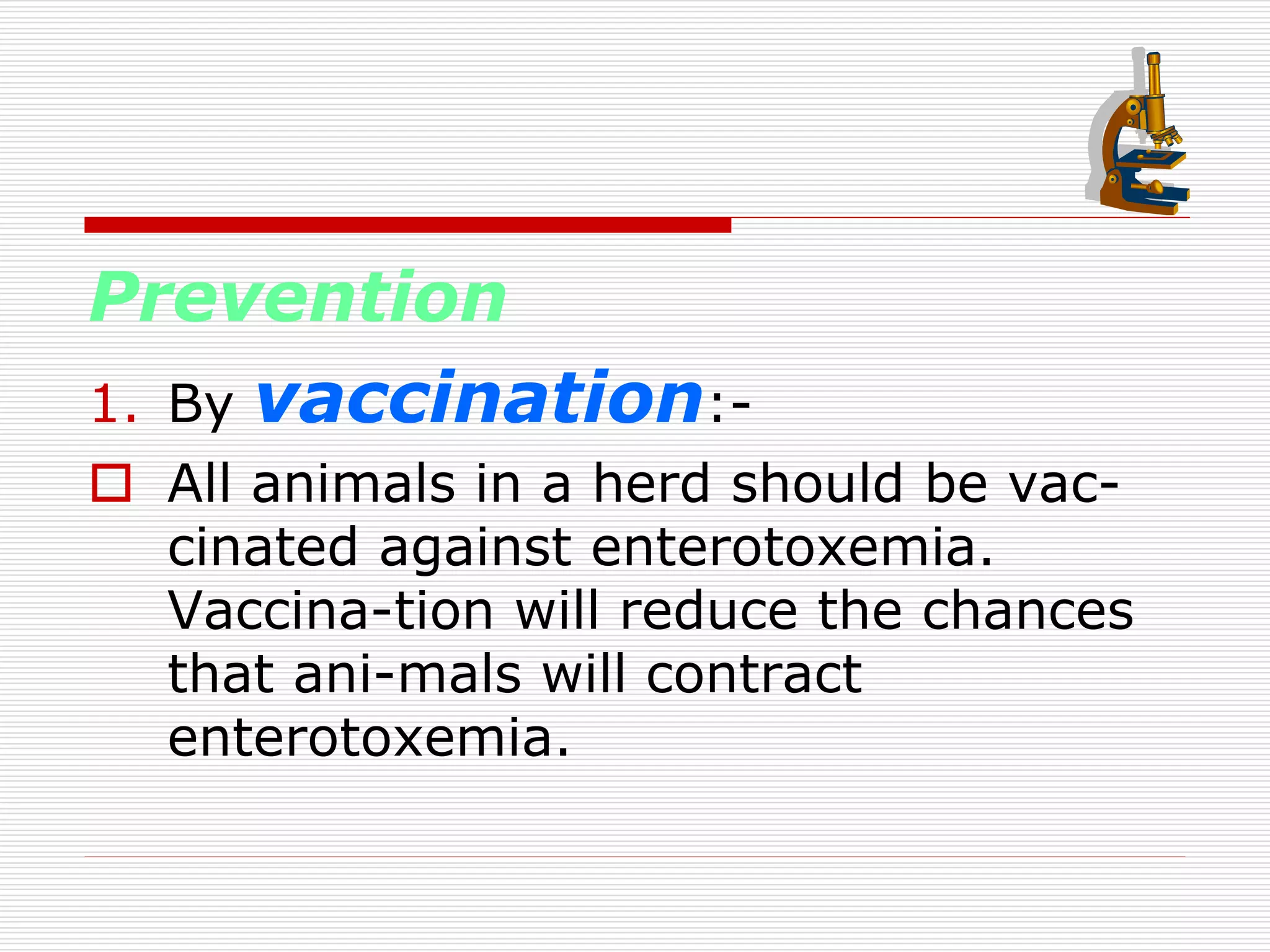 Enterotoxemia Ppt PPT enterotoxemia-ppt-ppt